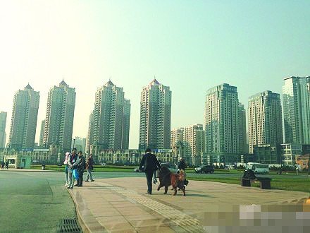 男子廣場(chǎng)遛兩藏獒一只沒拴繩 路人遠(yuǎn)遠(yuǎn)躲開