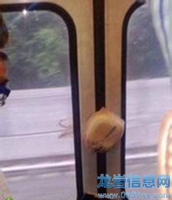 擠的不是地鐵,是寂寞。關于擠地鐵的日常。