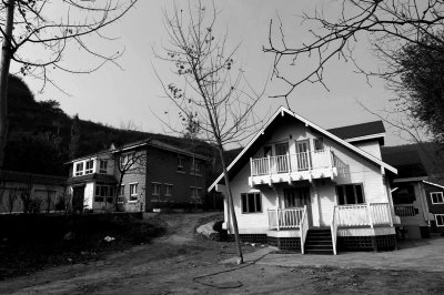 承包人占用林地后建別墅 官方稱將沒收或拆除