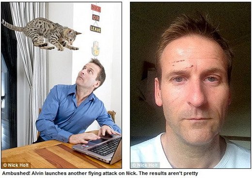 公貓只愛女主人對男作家撒尿刪稿抓臉玩“家暴”