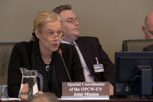 敘化武特派團稱化武核查取得進展 安全仍是挑戰