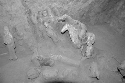 ҽxϹ񃺣ܕ(hu)ҲӋ(j)(D)